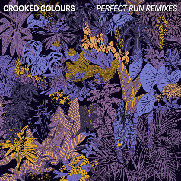 Perfect Run (Remixes) - Single album cover