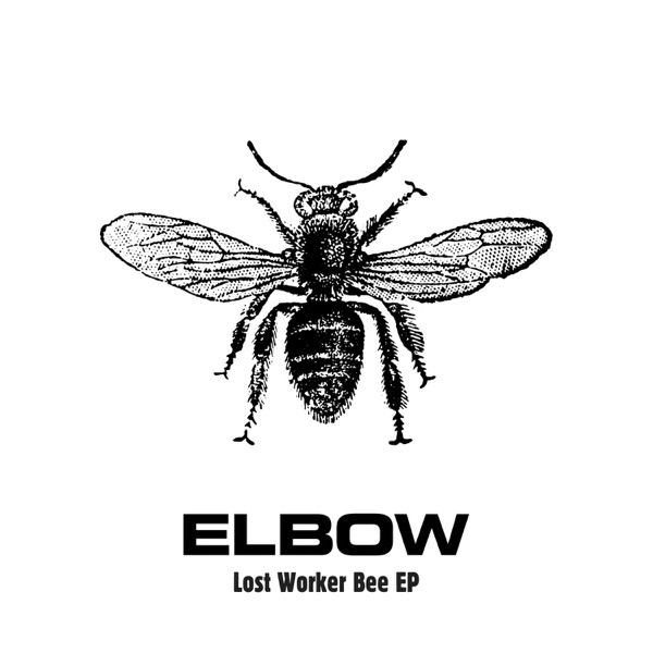 Lost Worker Bee - EP album cover