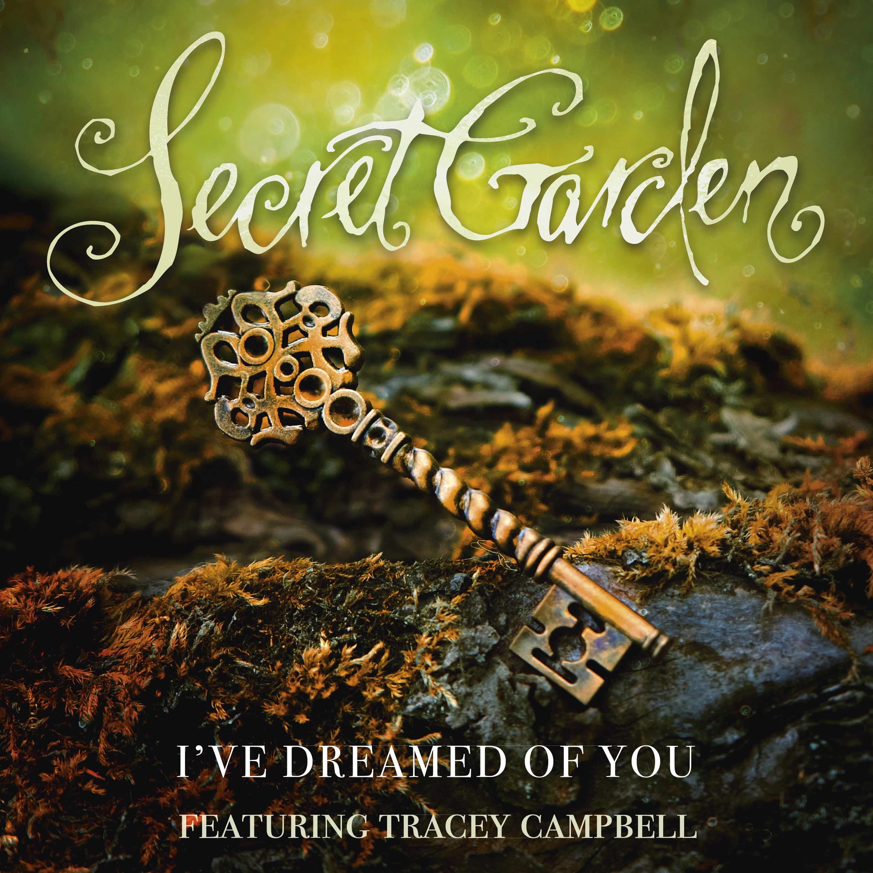 I've Dreamed Of You (feat. Tracey Campbell) - Single album cover