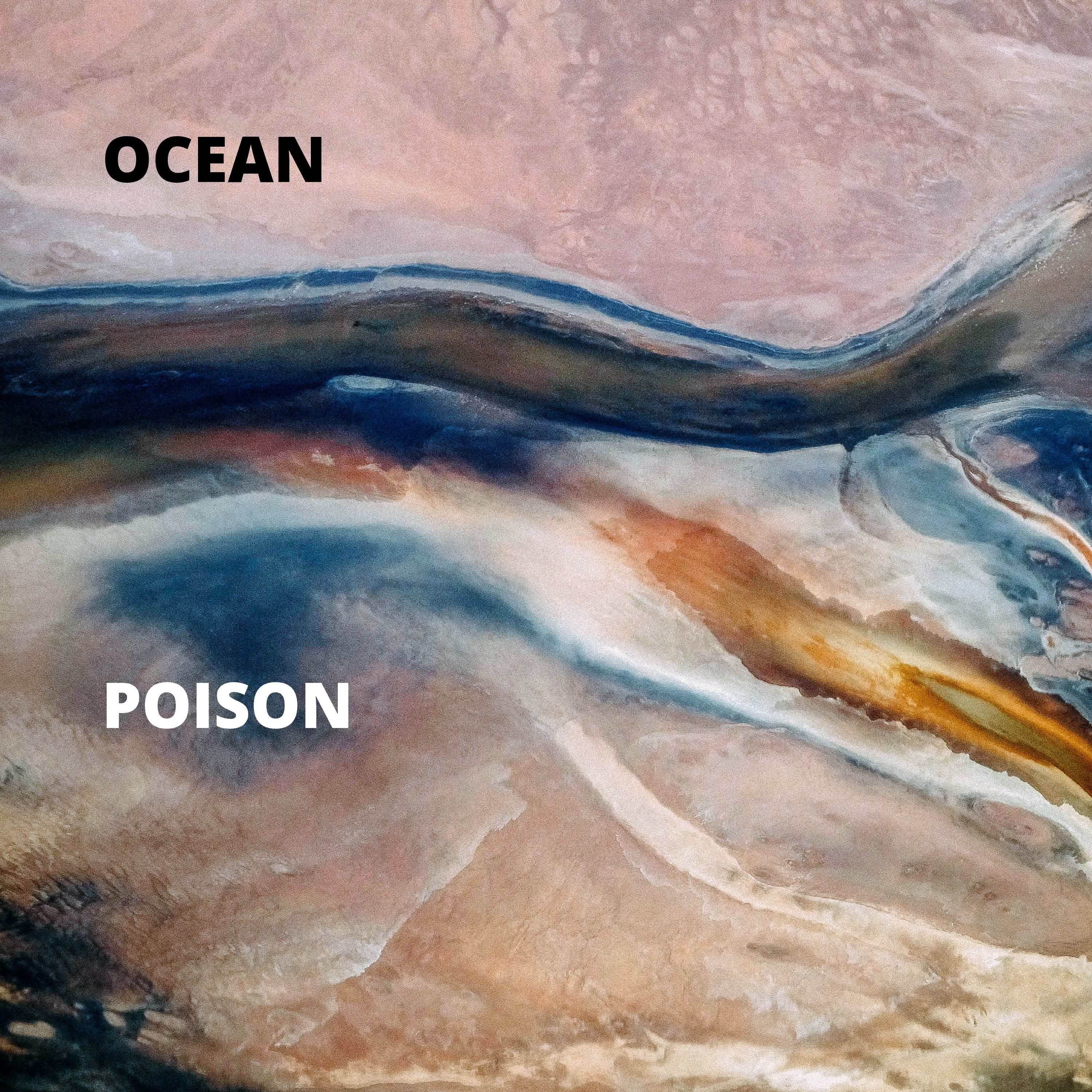Poison - Single album cover