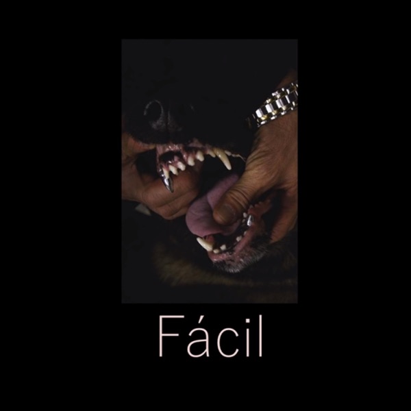 Fácil - Single album cover