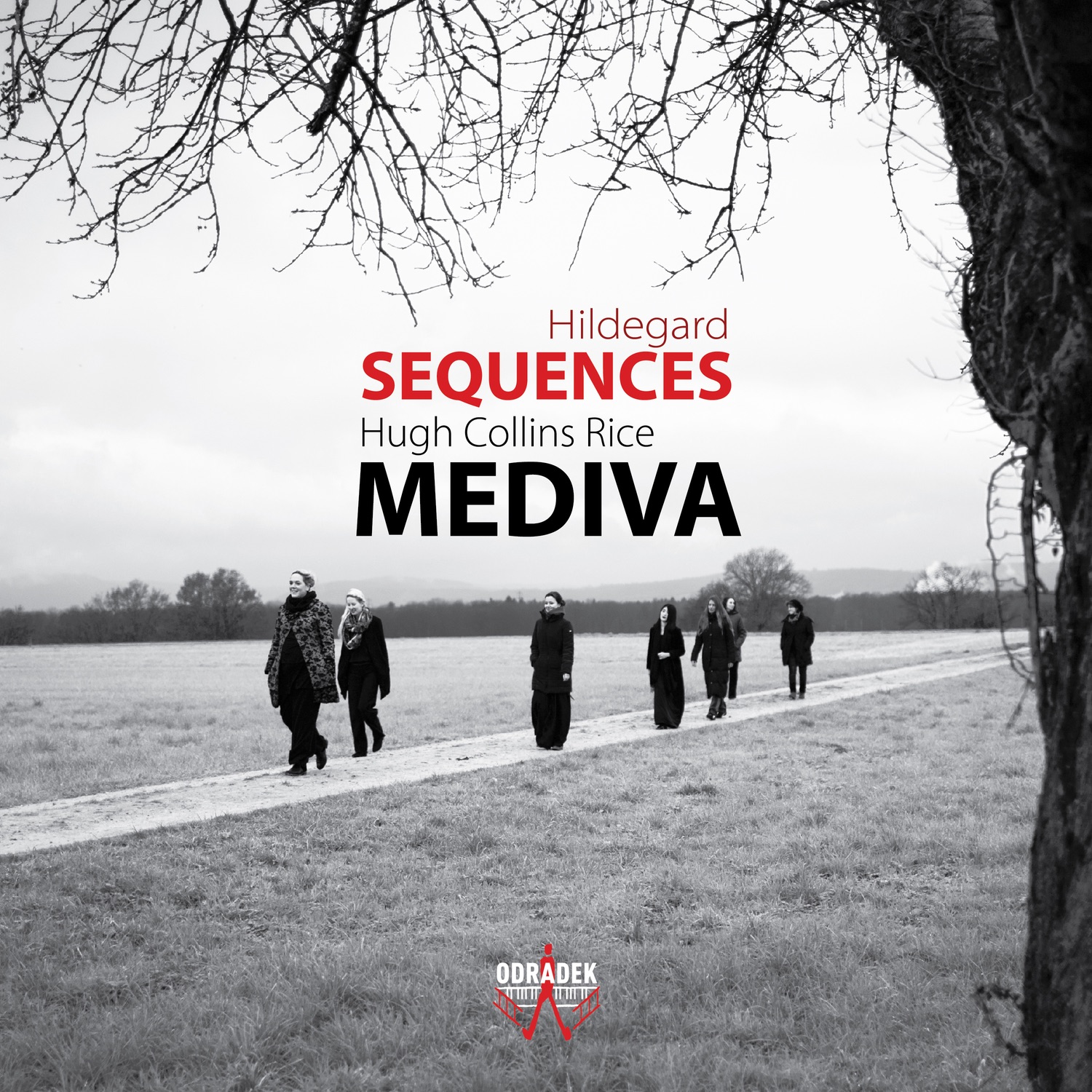 Sequences album cover
