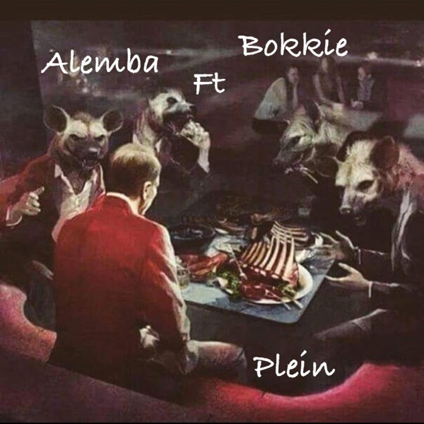 Plein (feat. Bokkie & Emage) - Single album cover