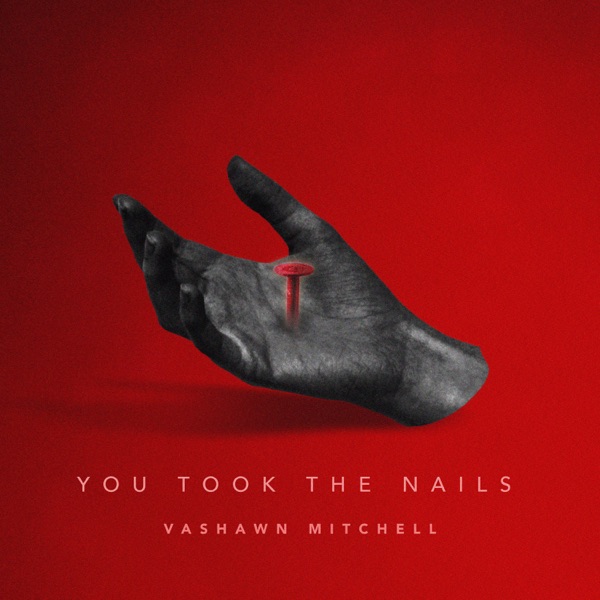 You Took the Nails (Radio Edit) - Single album cover
