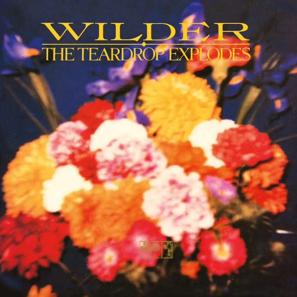 Wilder (Remastered Expanded Edition) album cover