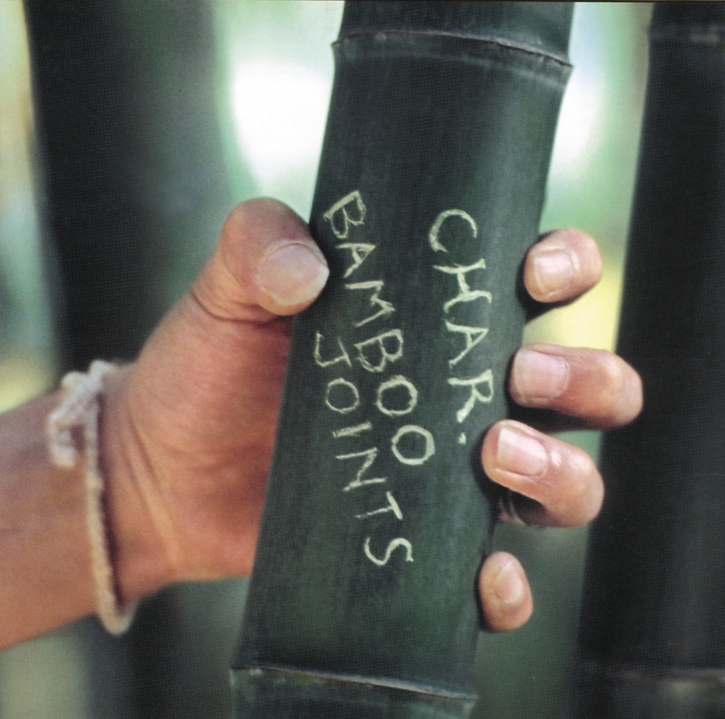 Bamboo Joints album cover