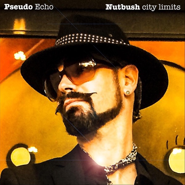 Nutbush City Limits - Single album cover