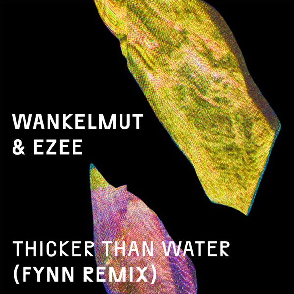 Thicker Than Water (Fynn Remix) - Single album cover