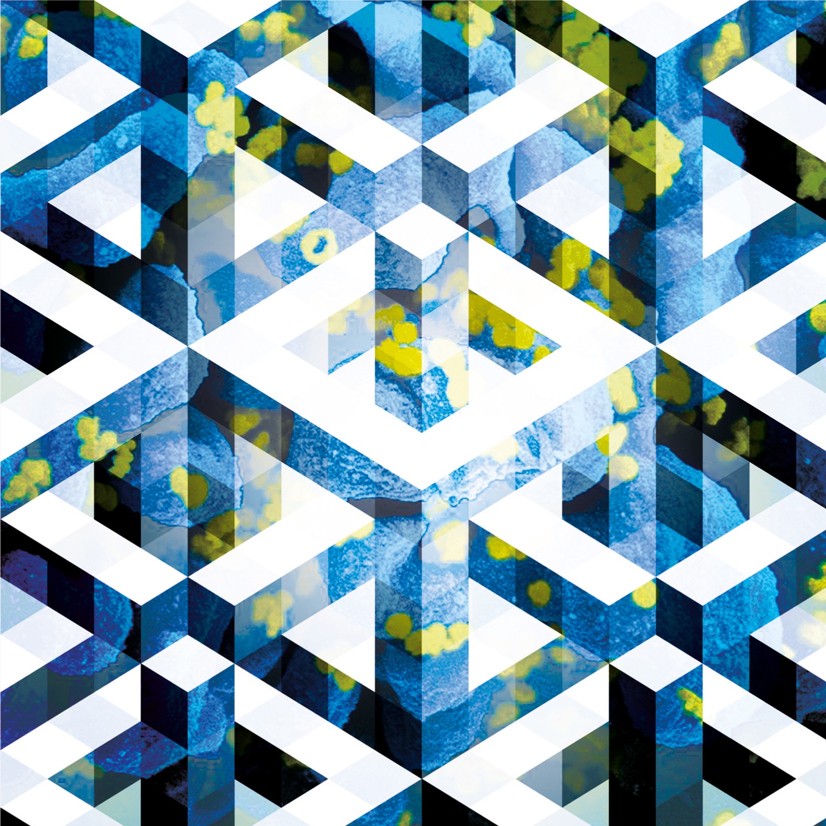 Liquid Geometries album cover
