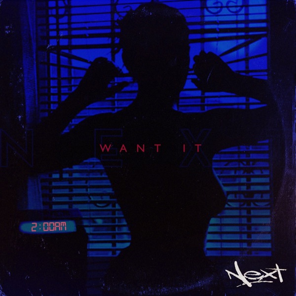 Want It - Single album cover