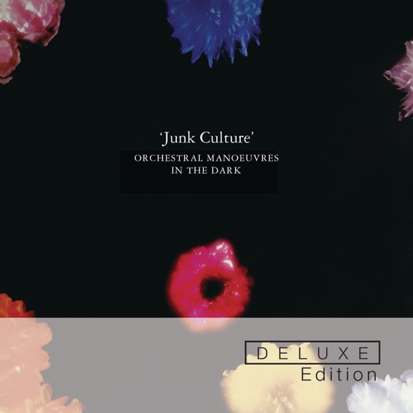 Junk Culture (Deluxe Edition) album cover