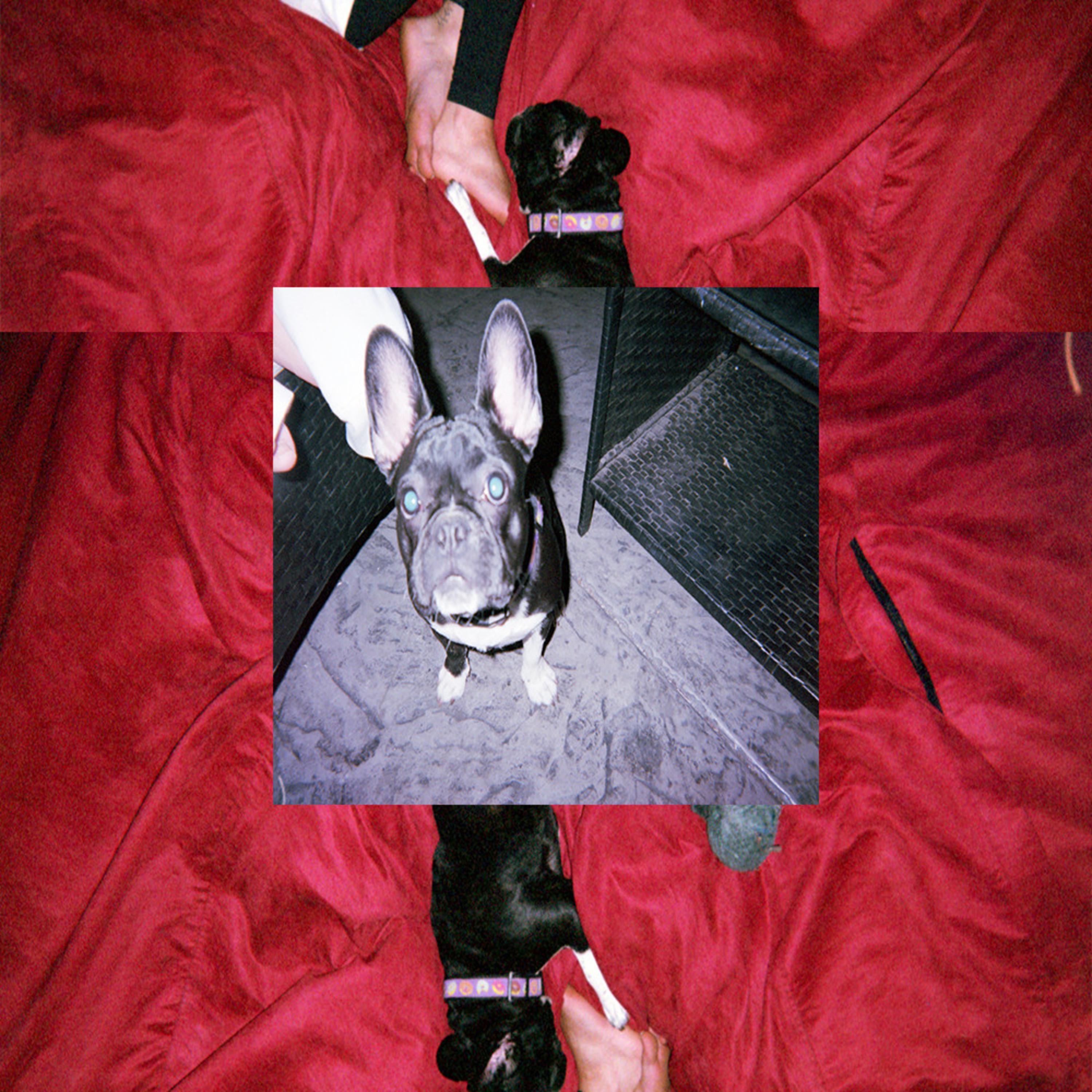 Goob Dog - Single album cover