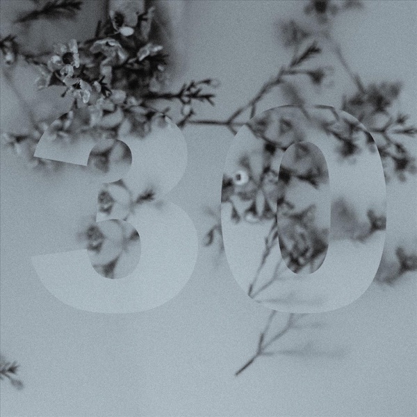 30 - Single album cover