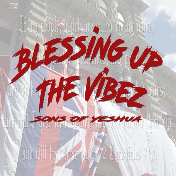 Blessing up the Vibez album cover