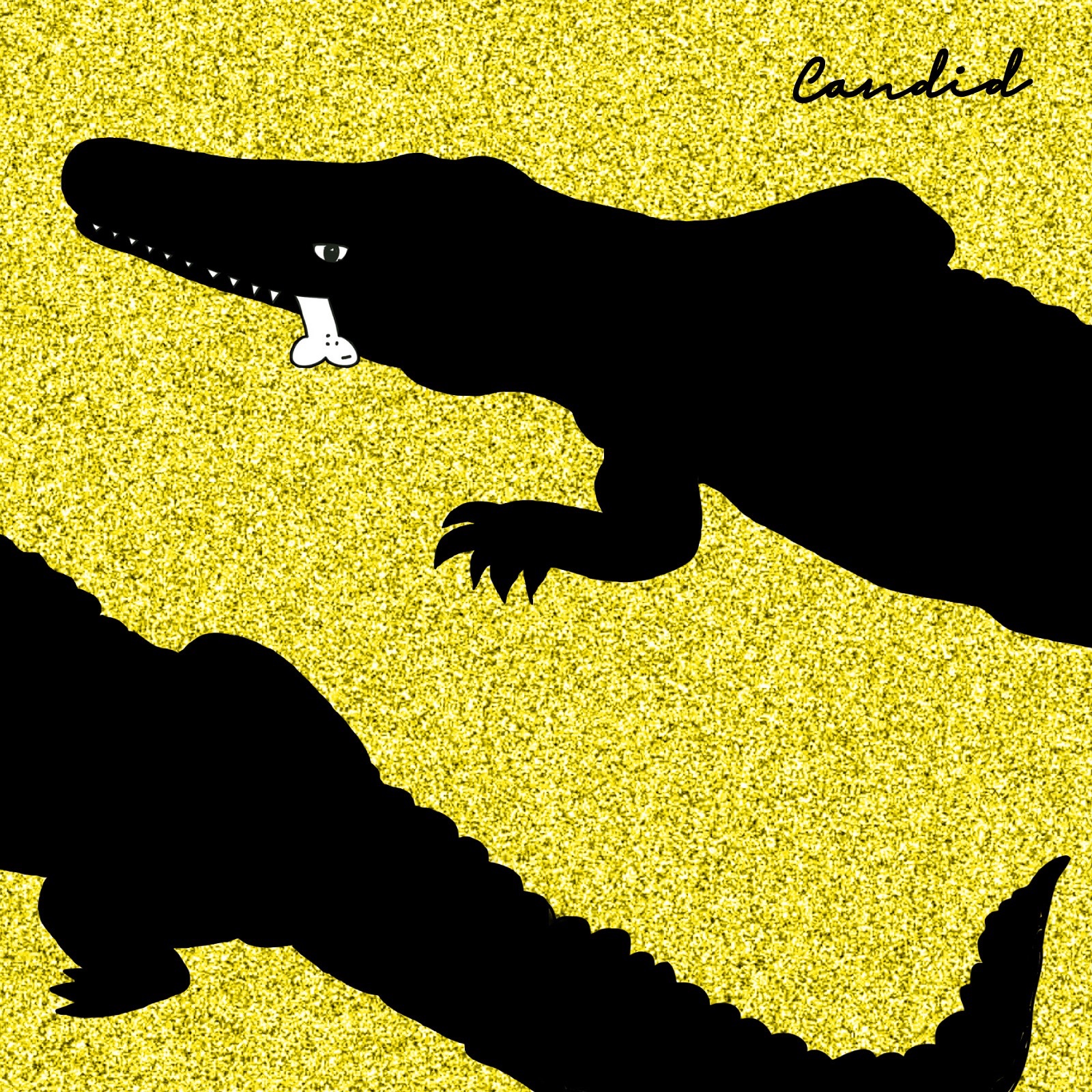 Candid - Single album cover