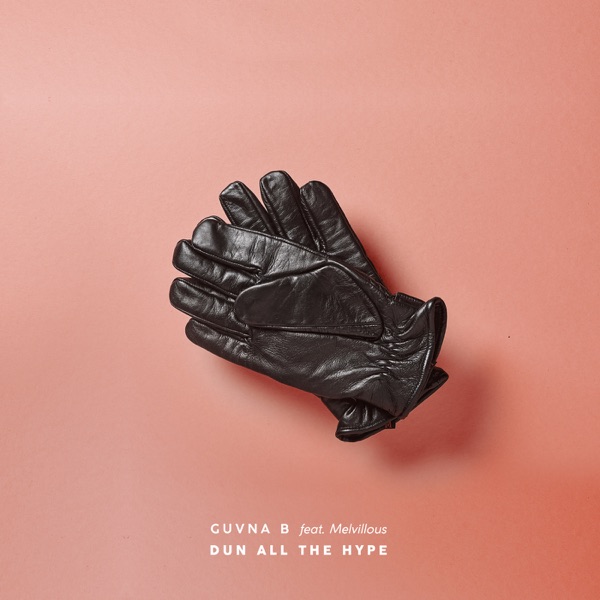 Dun All the Hype (feat. Melvillous) - Single album cover
