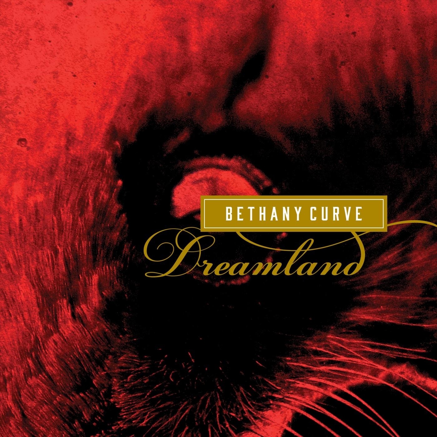 Dreamland - Single album cover