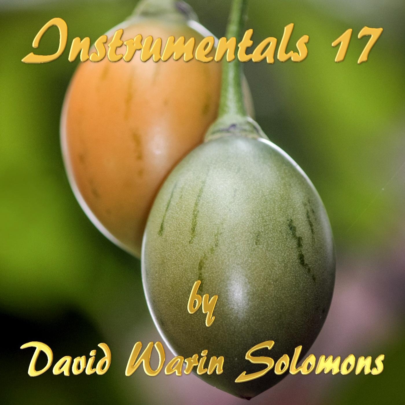 Instrumentals 17 album cover