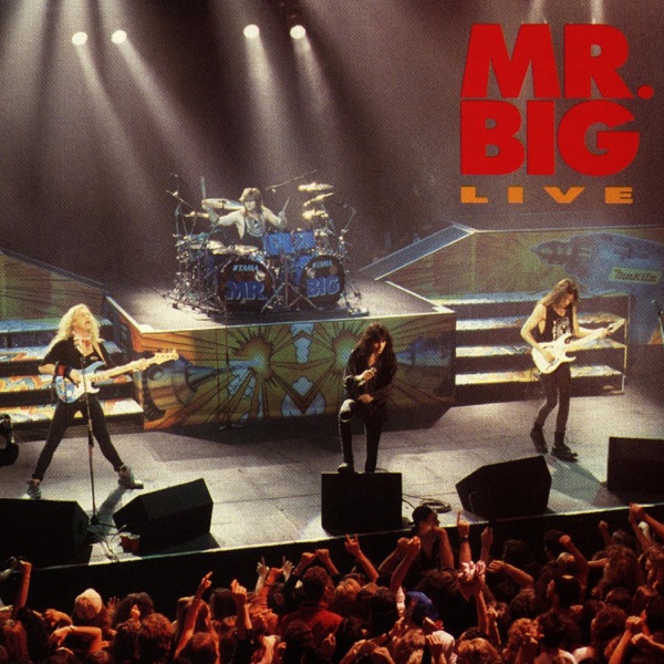 Mr. Big Live album cover