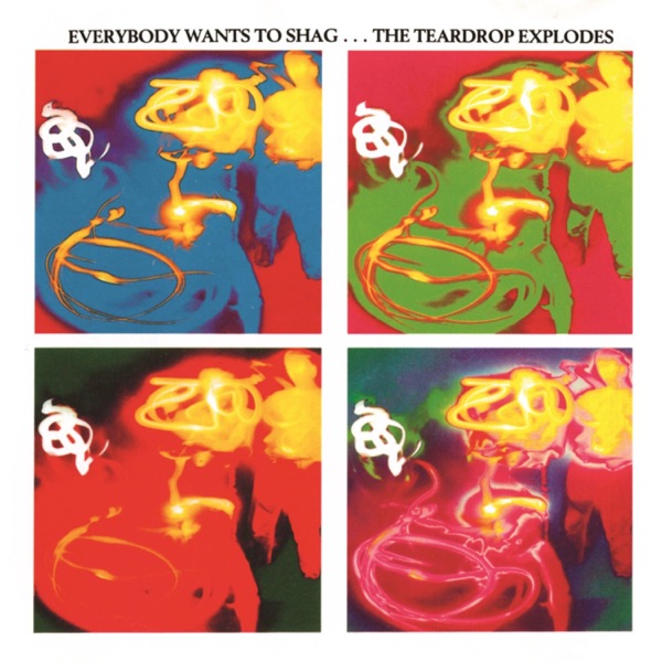 Everybody Wants To Shag... The Teardrop Explodes album cover