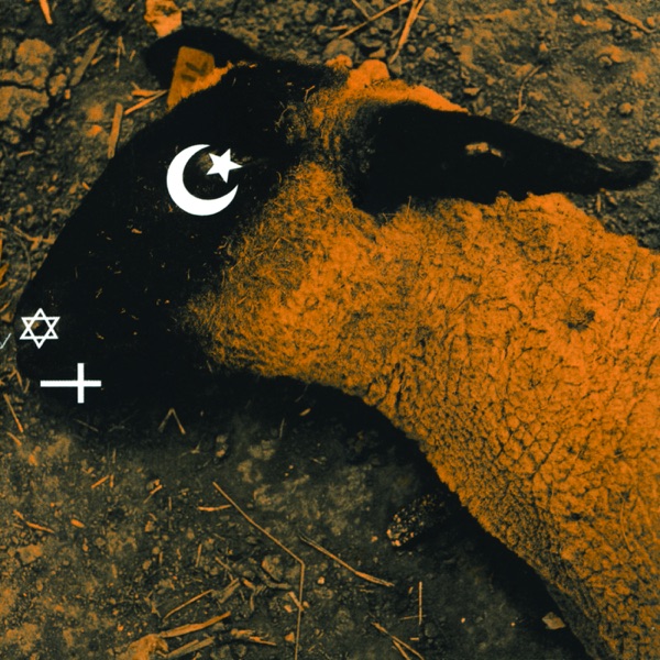 Animositisomina album cover