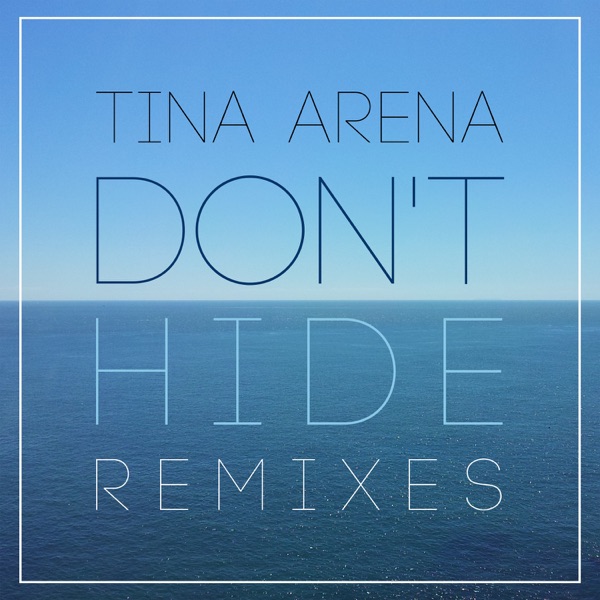 Don't Hide (7th Heaven Remixes) - Single album cover