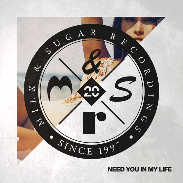Need You in My Life (Superlover Remixes) [feat. Roland Clark] - Single album cover