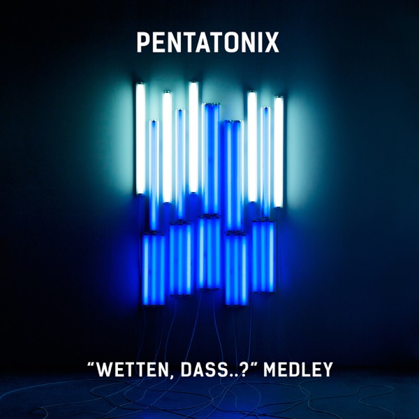"Wetten, dass..?" Medley - Single album cover