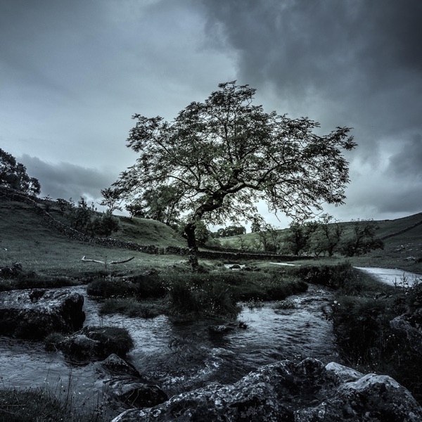 Dreamland - EP album cover