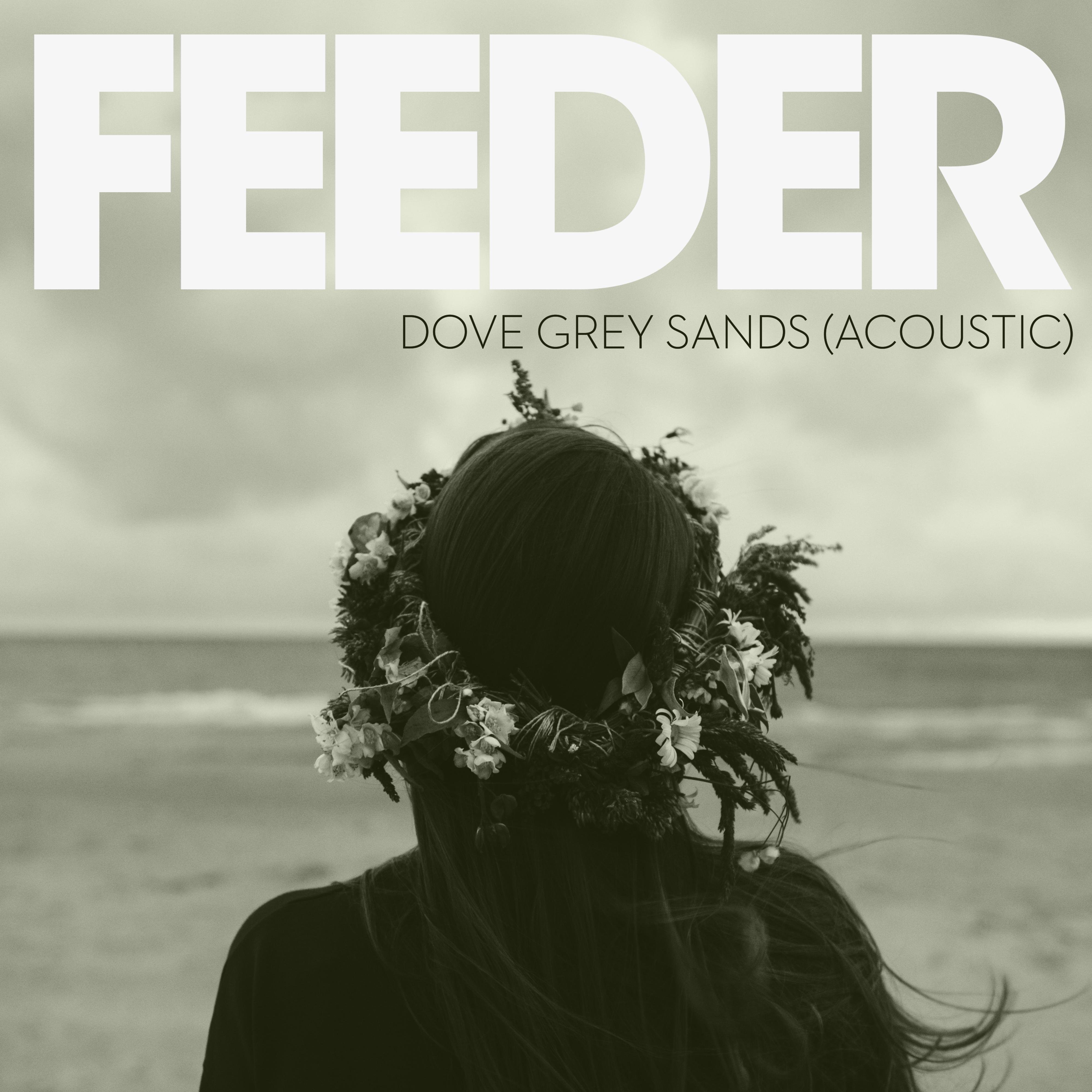 Dove Grey Sands (Acoustic Version) - Single album cover