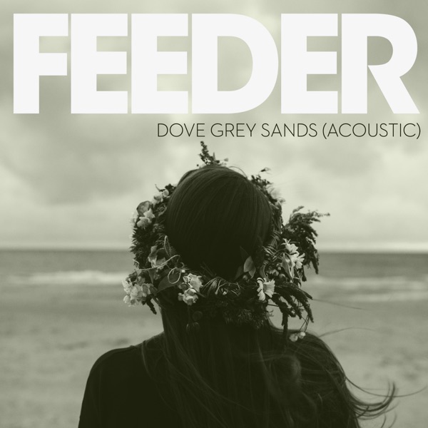 Dove Grey Sands (Acoustic Version) - Single album cover