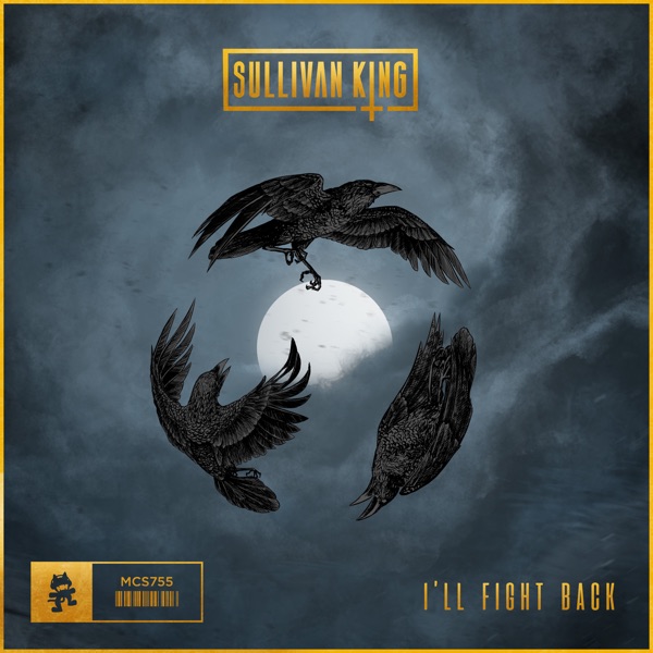 I'll Fight Back - Single album cover