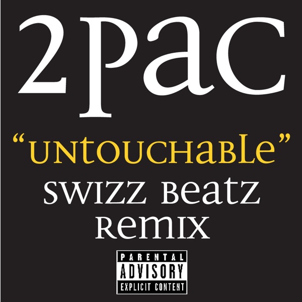 Untouchable (Swizz Beatz Remix) - Single album cover