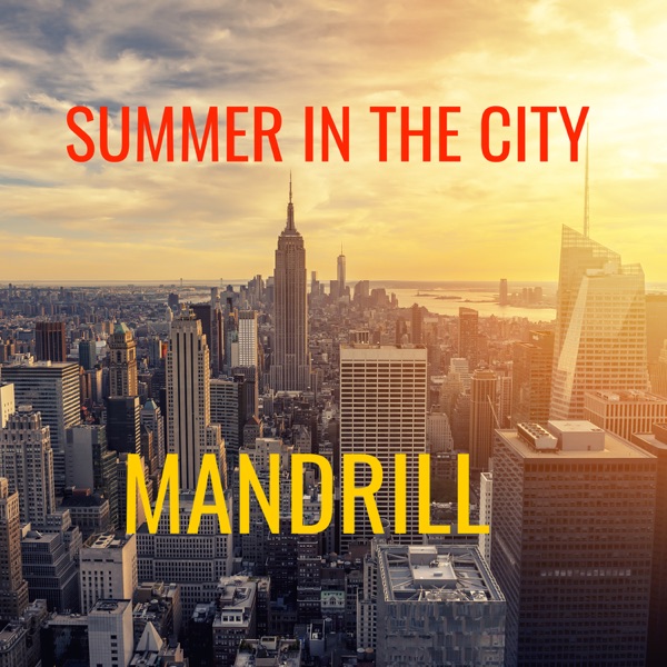 Summer in the City - Single album cover