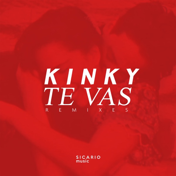 Te Vas Remixes - Single album cover