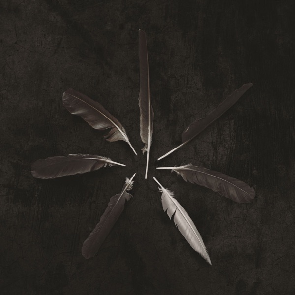 Dust and Disquiet album cover