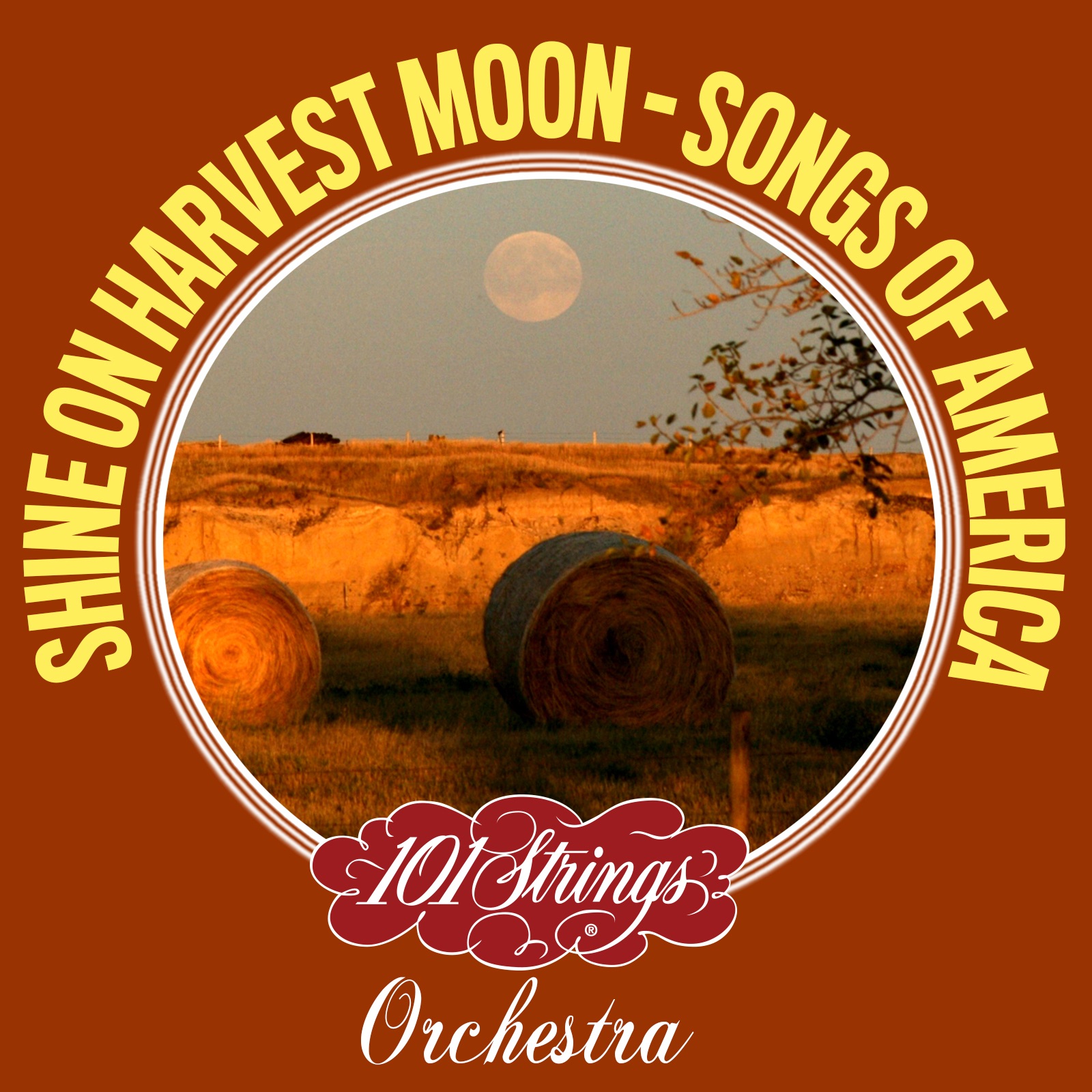 Shine On Harvest Moon: Songs of America album cover