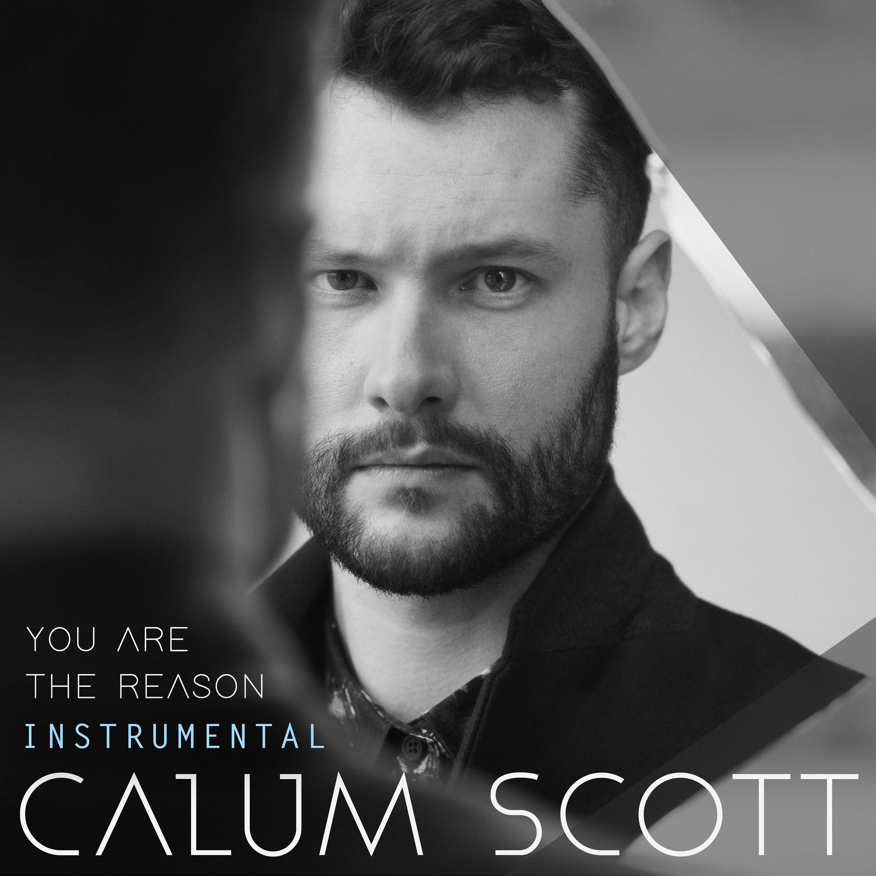 You Are The Reason (Instrumental) - Single album cover