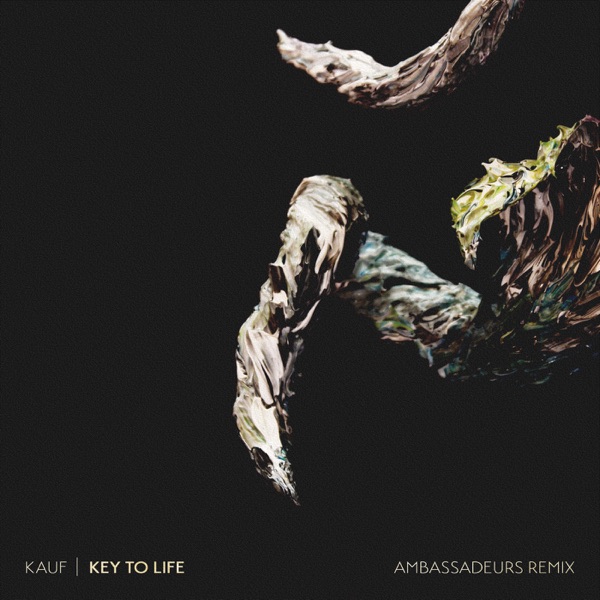 Key to Life (Ambassadeurs Remix) - Single album cover