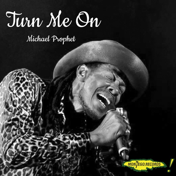 Turn Me On - Single album cover