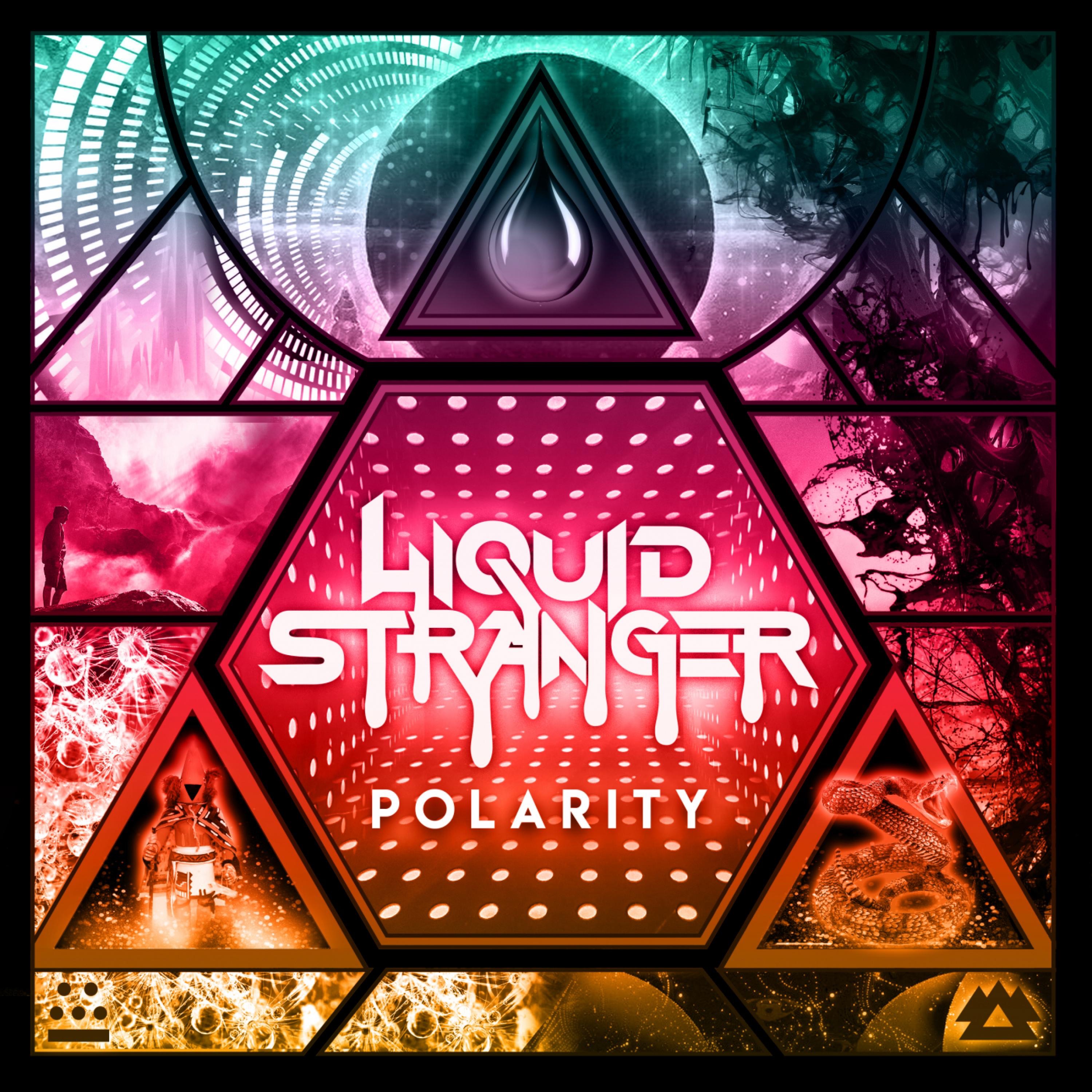 Polarity album cover