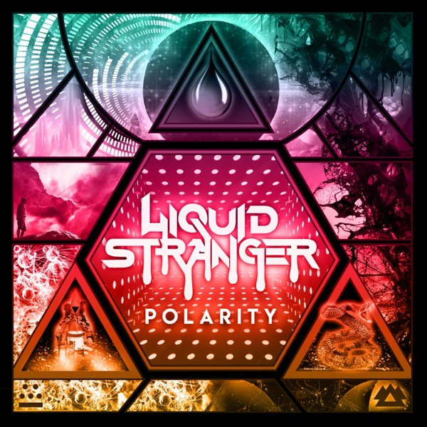 Polarity album cover