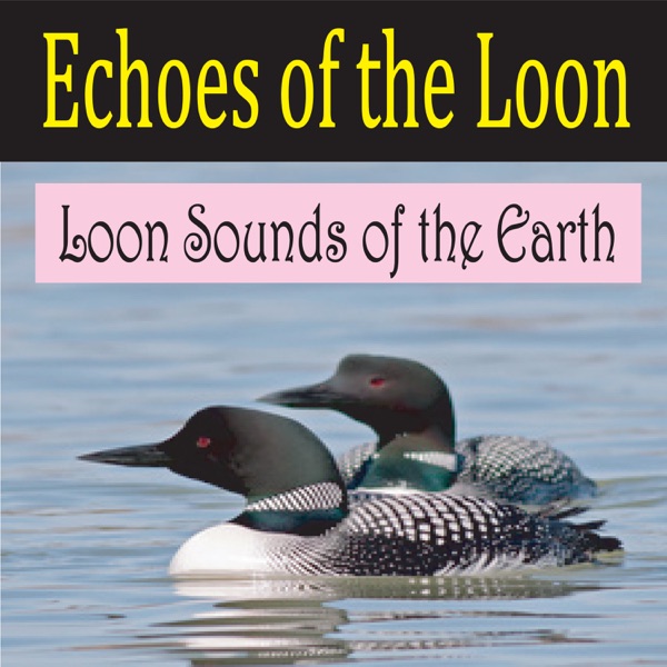 Echoes of the Loon (Loon Sounds of the Earth) album cover