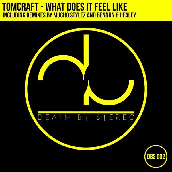 What Does It Feel Like? - Single album cover