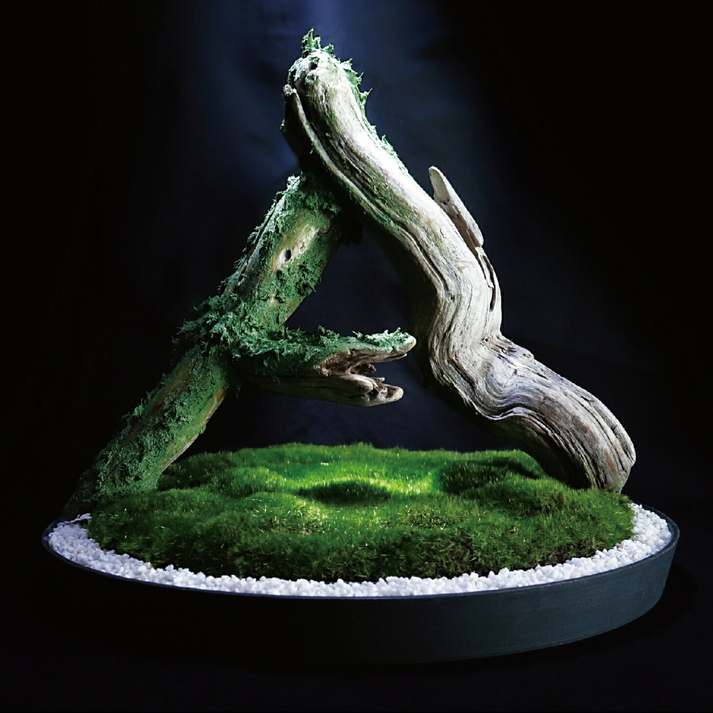 ATOLS/MIKU 3 album cover