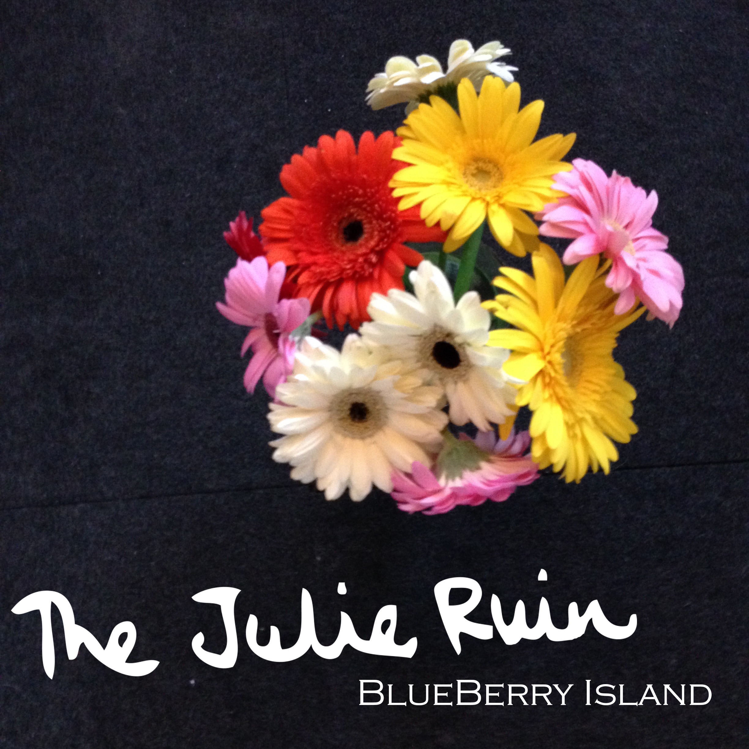 Blueberry Island - Single album cover