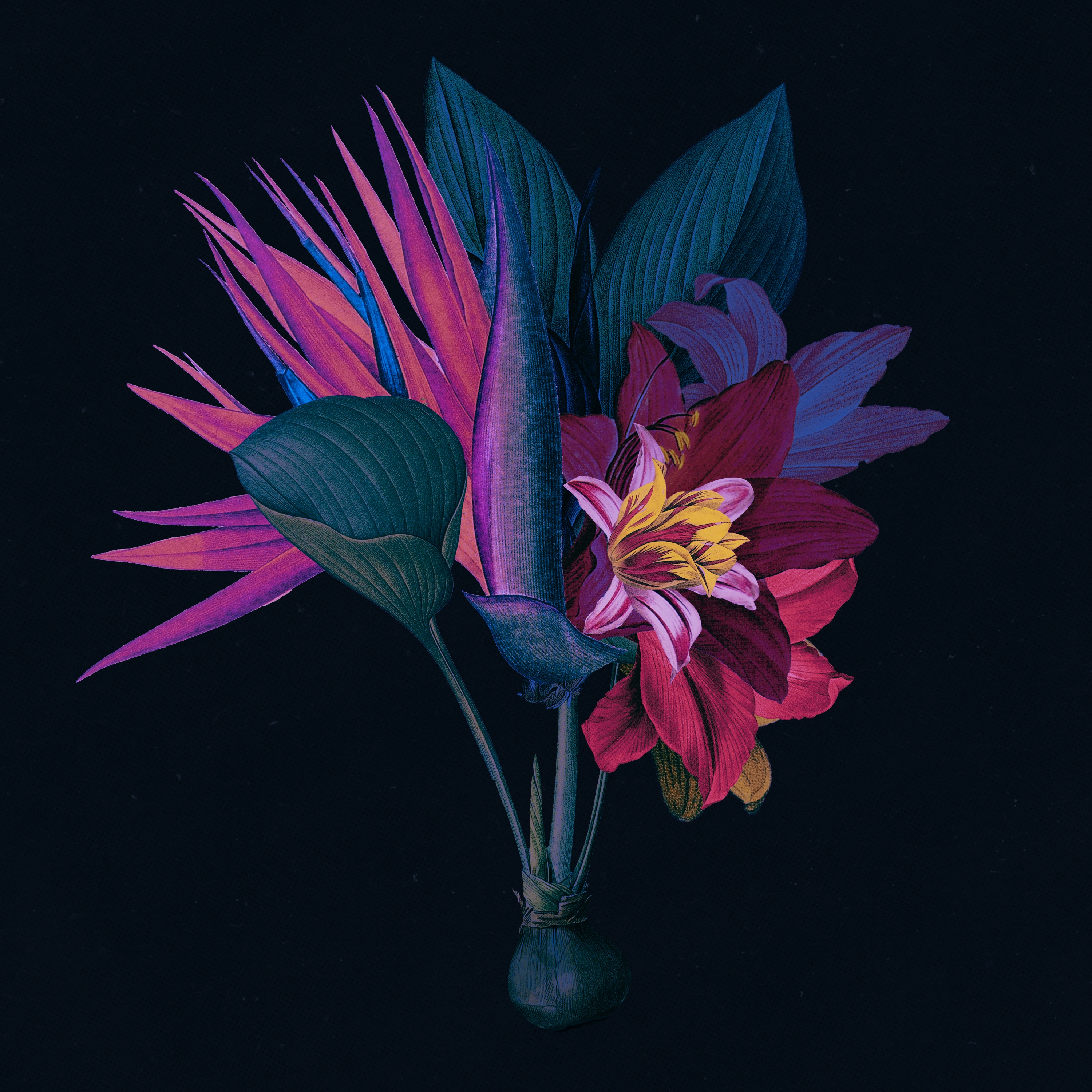 Kingdom (feat. North Downs) [Adesse Versions Remix] - Single album cover