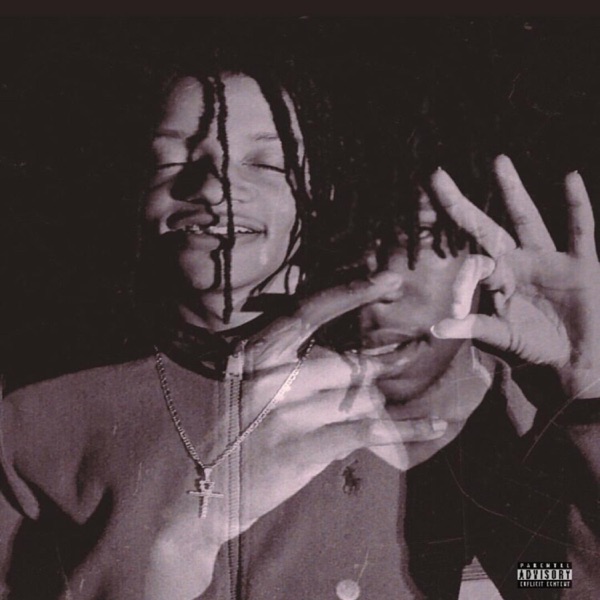 NezzusDestroyed album cover