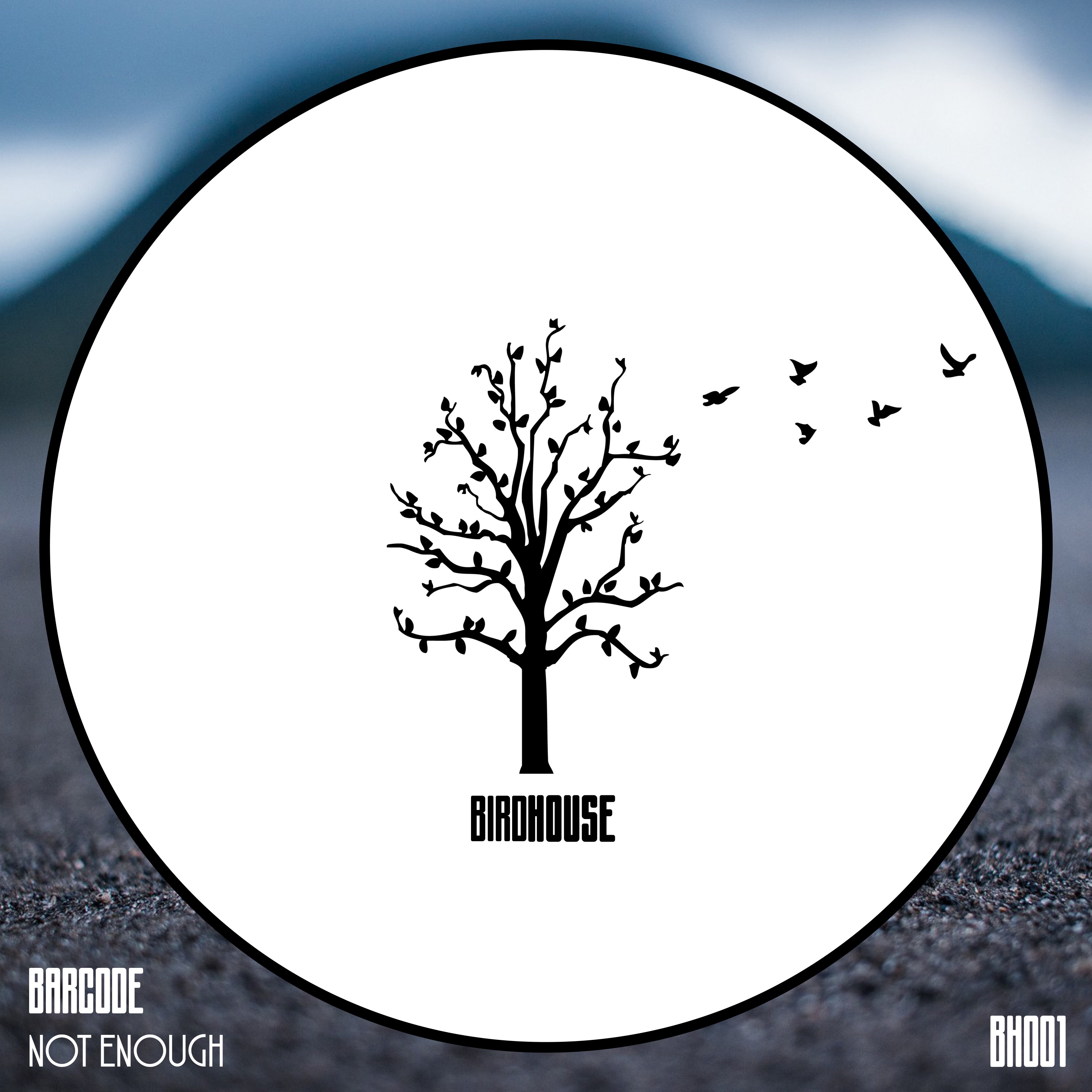 Not Enough - Single album cover