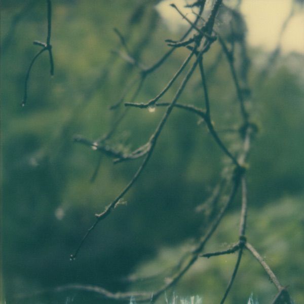 Lignin Poise album cover